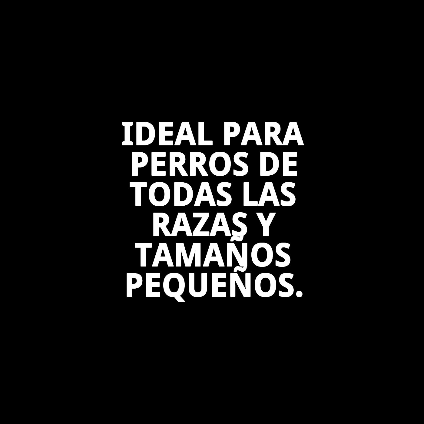 CAMISETA DISEÑO SPORT 35 cm