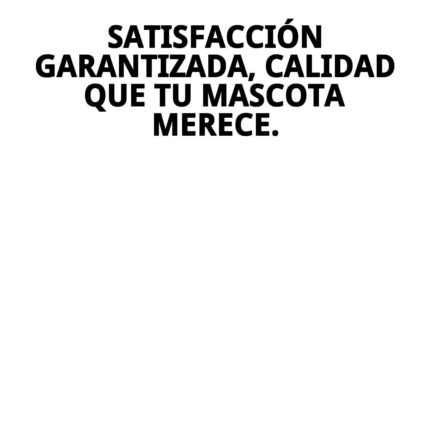 CANISTER ACERO MULTIUSOS  NEW