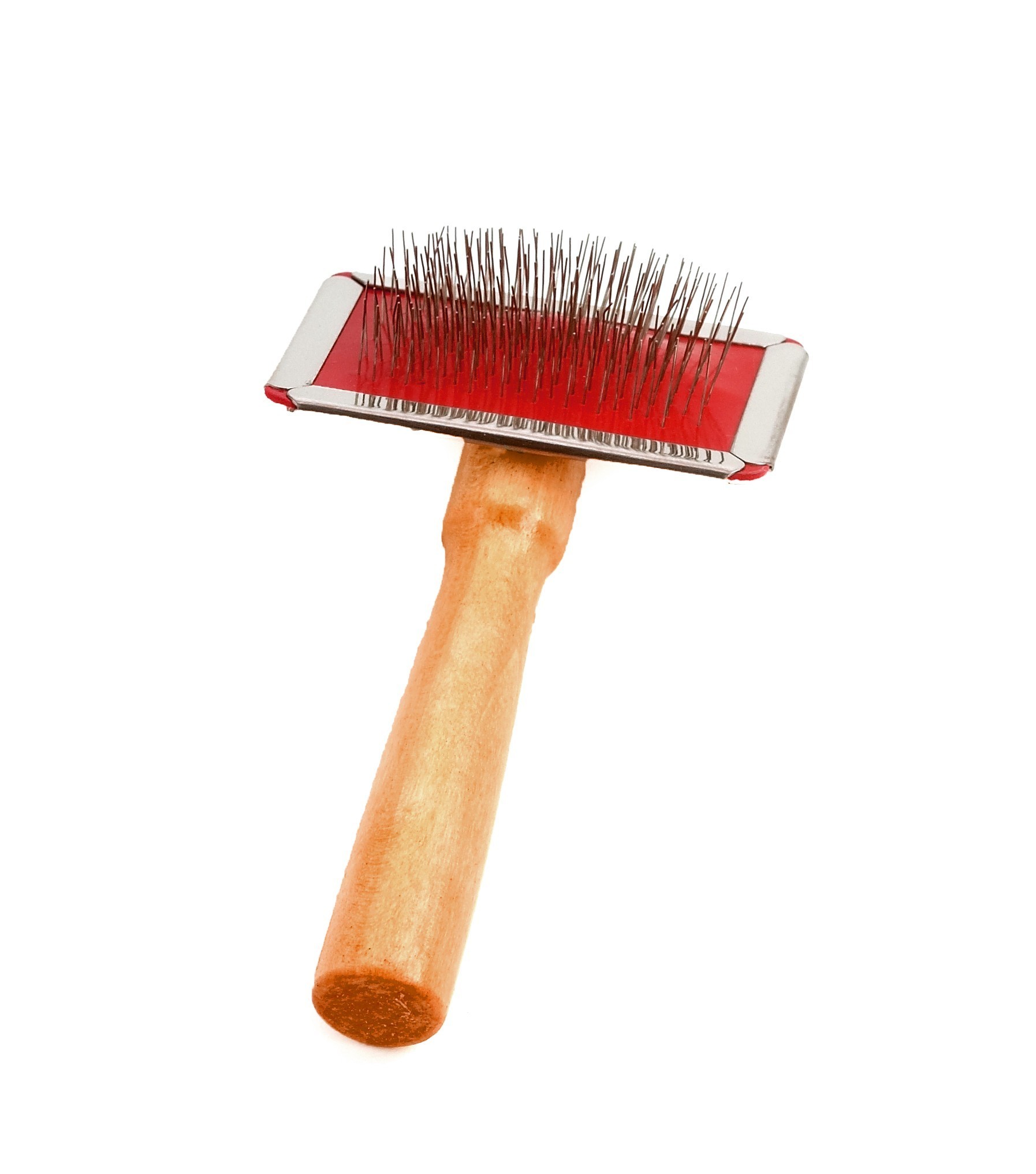 CARDA BAMBÚ PEQUEÑA