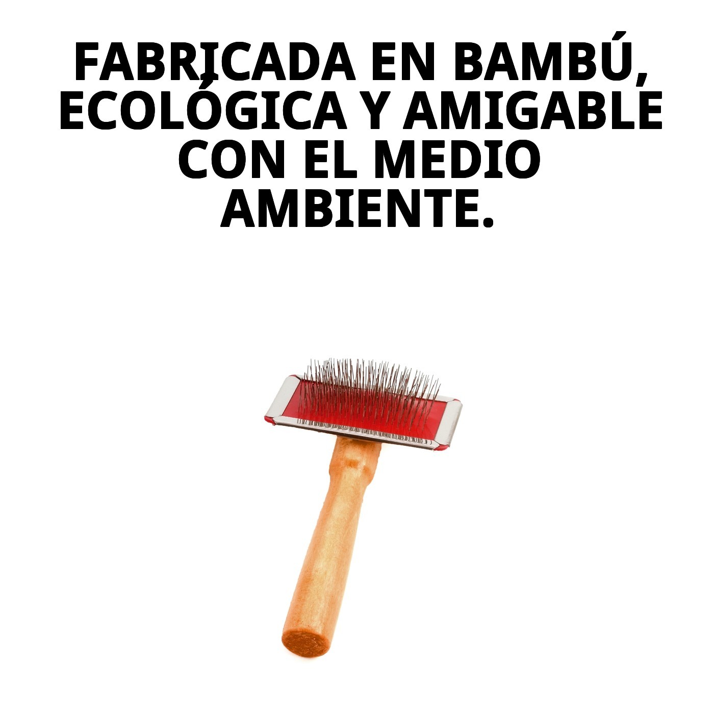 CARDA BAMBÚ PEQUEÑA