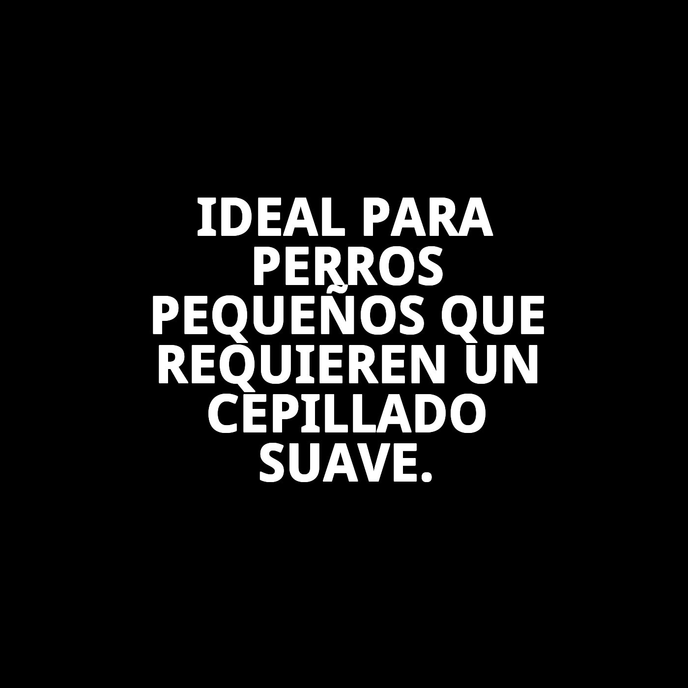 CARDA BAMBÚ PEQUEÑA