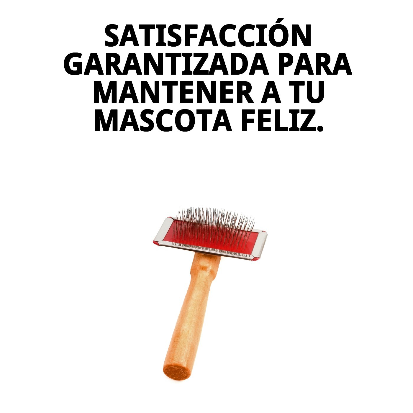 CARDA BAMBÚ PEQUEÑA