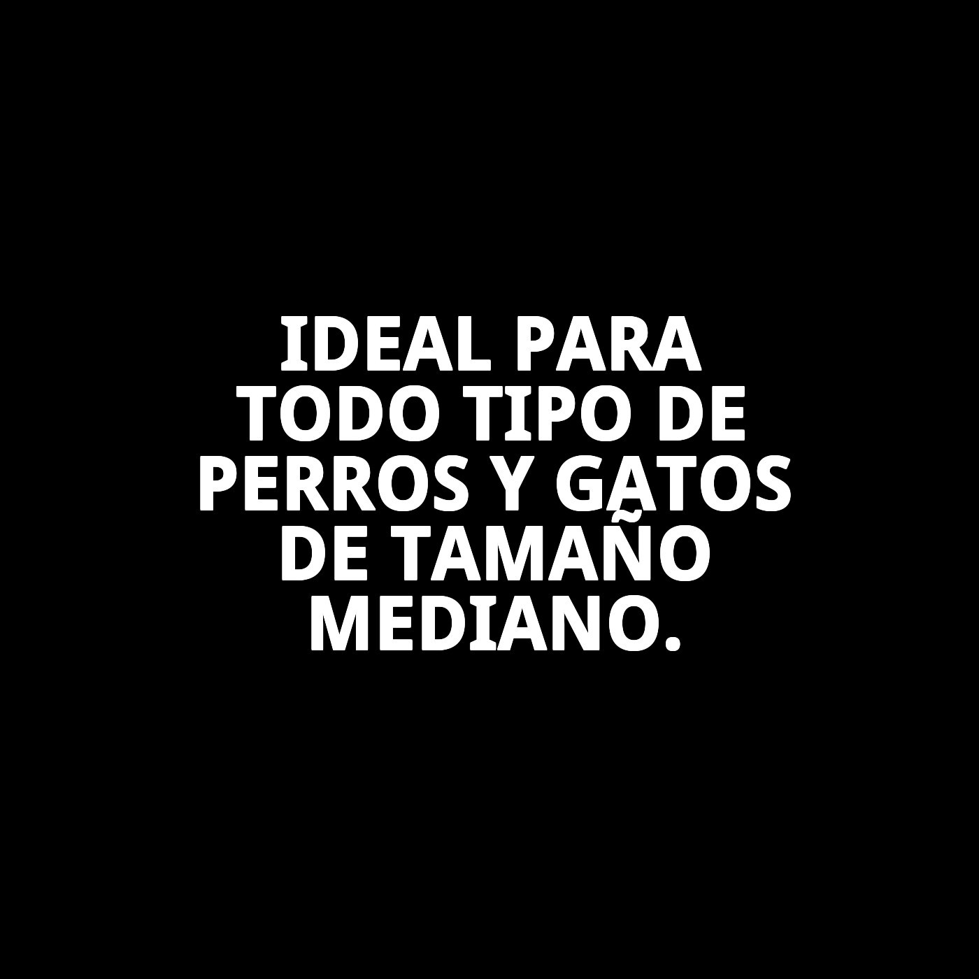 Carda Desenreda Nudos Mediana Moly Confort | Cepillo Profesional para Eliminar Enredos en Perros y Gatos