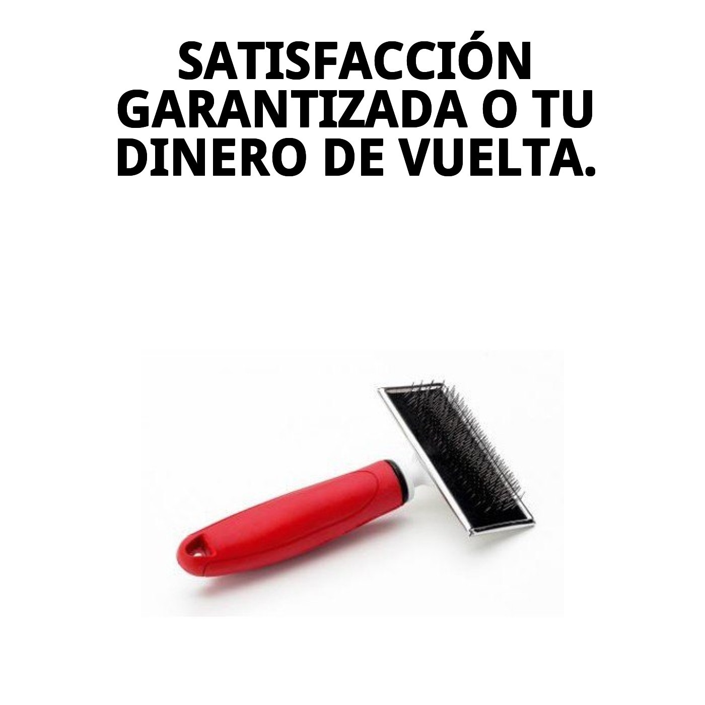 Carda Desenreda Nudos Mediana Moly Confort | Cepillo Profesional para Eliminar Enredos en Perros y Gatos