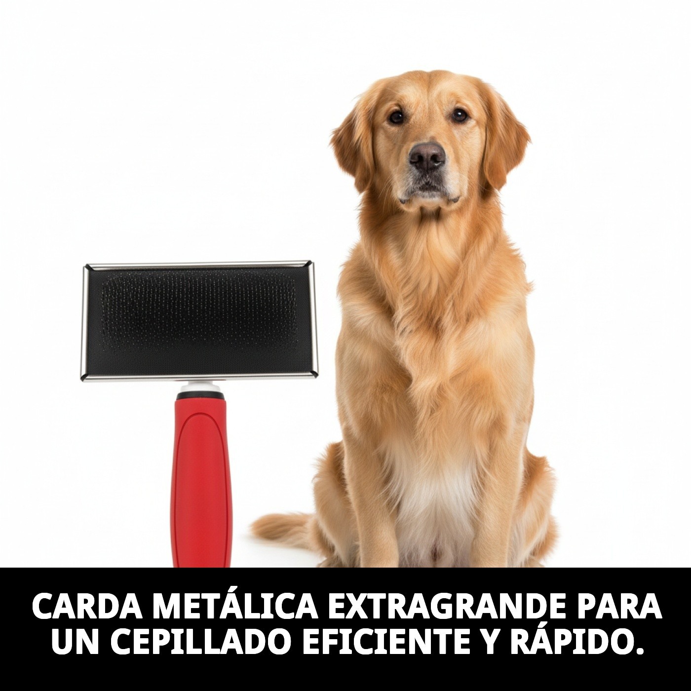 Carda Metálica Extragrande Moly Confort | Cepillo Profesional para Perros Grandes de Pelaje Medio y Largo