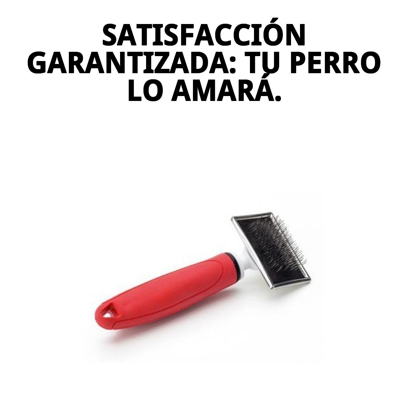 Carda Metálica Pequeña Moly Confort | Cepillo Suave y Preciso para Perros y Gatos Pequeños