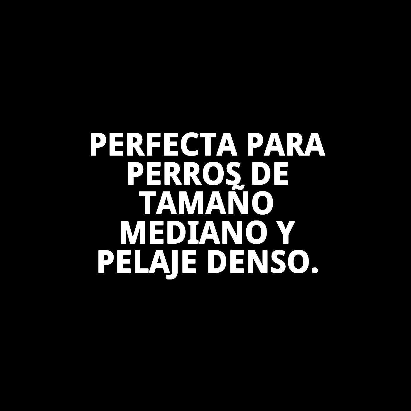 Carda Universal Mediana Moly | Cepillo Profesional para Perros y Gatos de Pelaje Medio y Largo