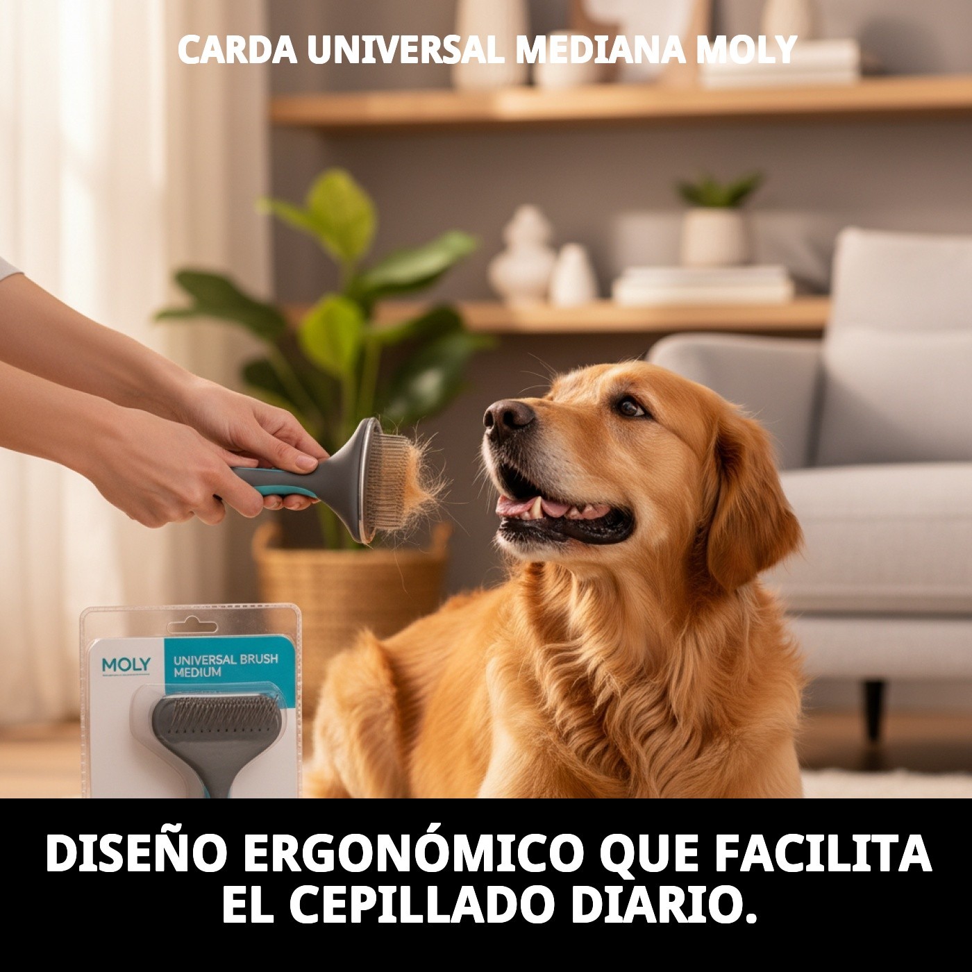 Carda Universal Mediana Moly | Cepillo Profesional para Perros y Gatos de Pelaje Medio y Largo