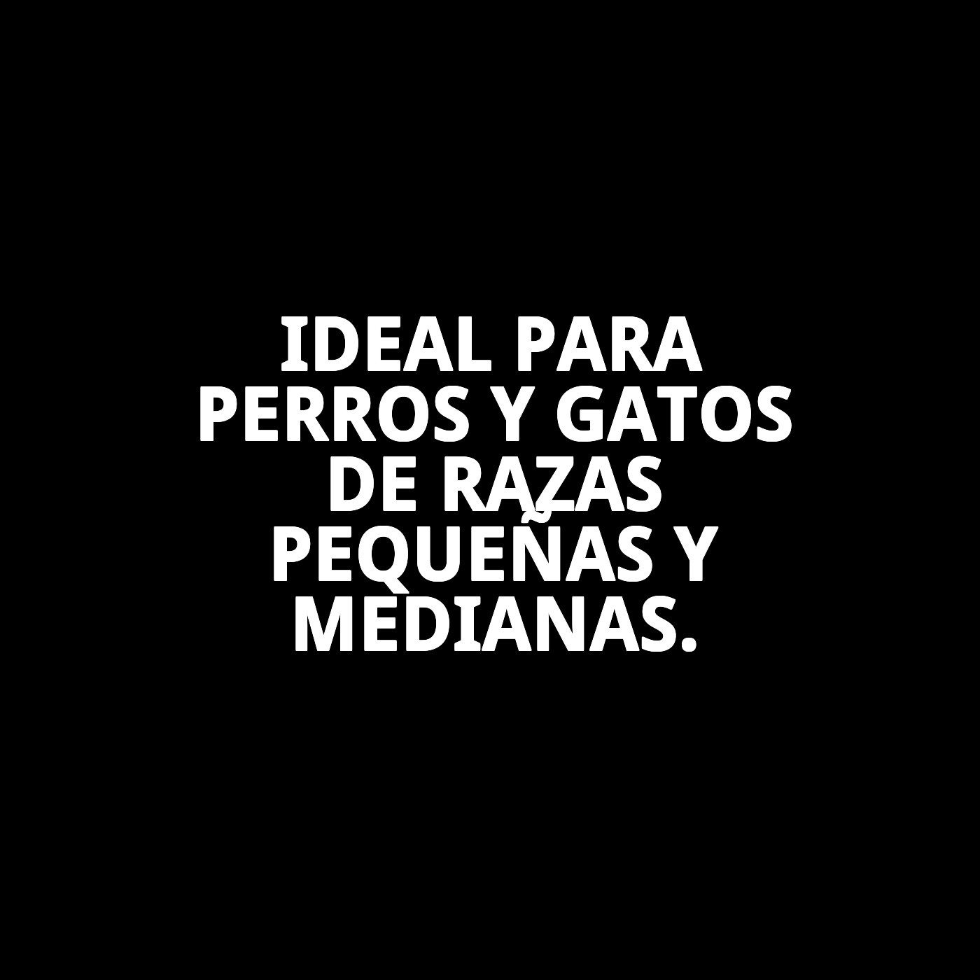 CASITA CATHY 56X40X40