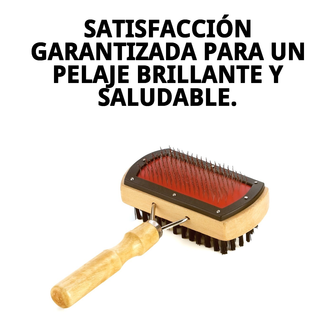 Cepillo Bambú Carda Doble Moly | Cepillado Profesional 2 en 1 para Pelajes Medios y Largos