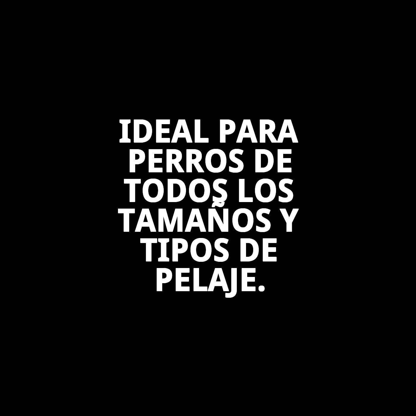 Cepillo Bambú Doble Púas de Nylon Grande Moly | Cepillado Suave y Eficaz para Pelos Medios y Largos