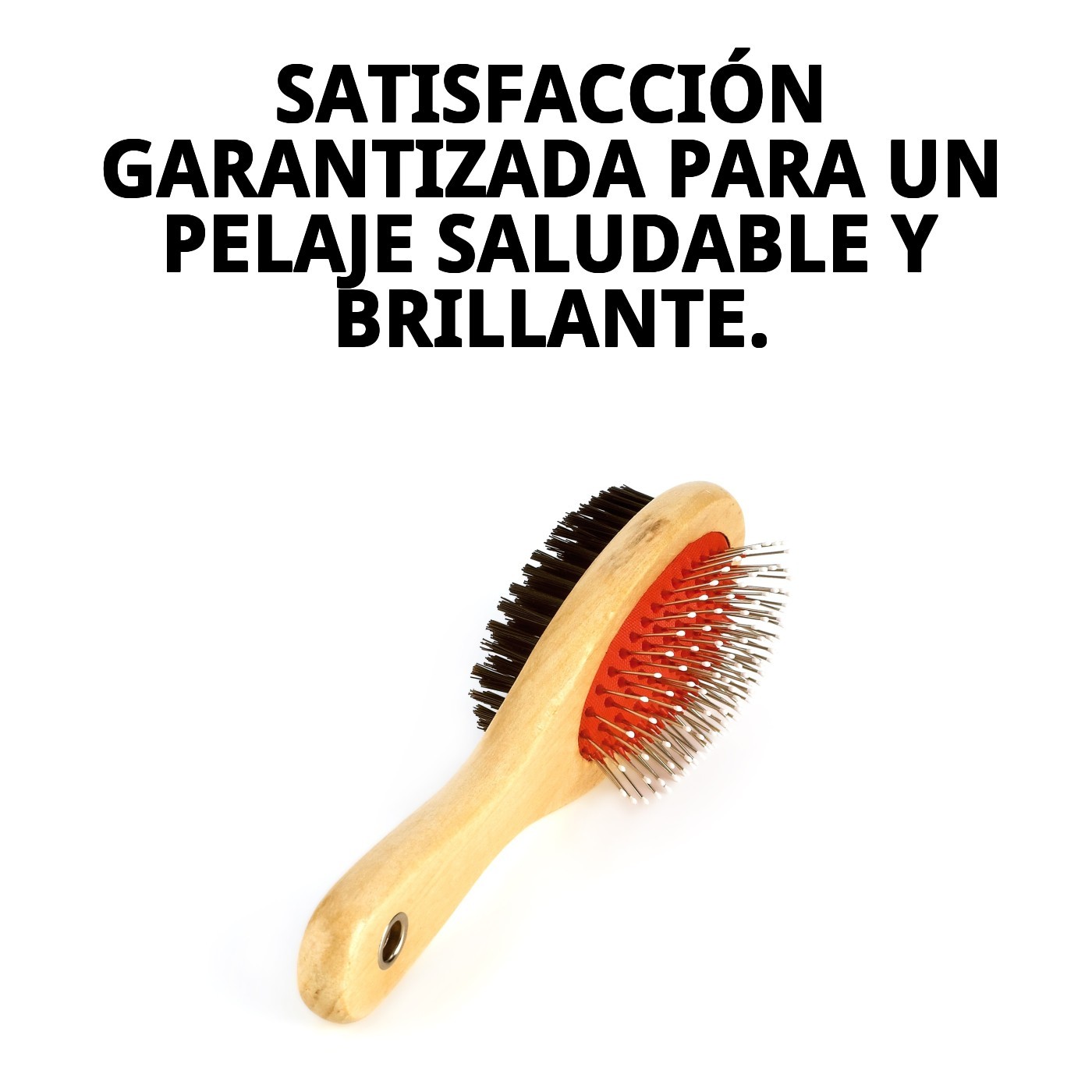 Cepillo Bambú Doble Púas de Nylon Grande Moly | Cepillado Suave y Eficaz para Pelos Medios y Largos