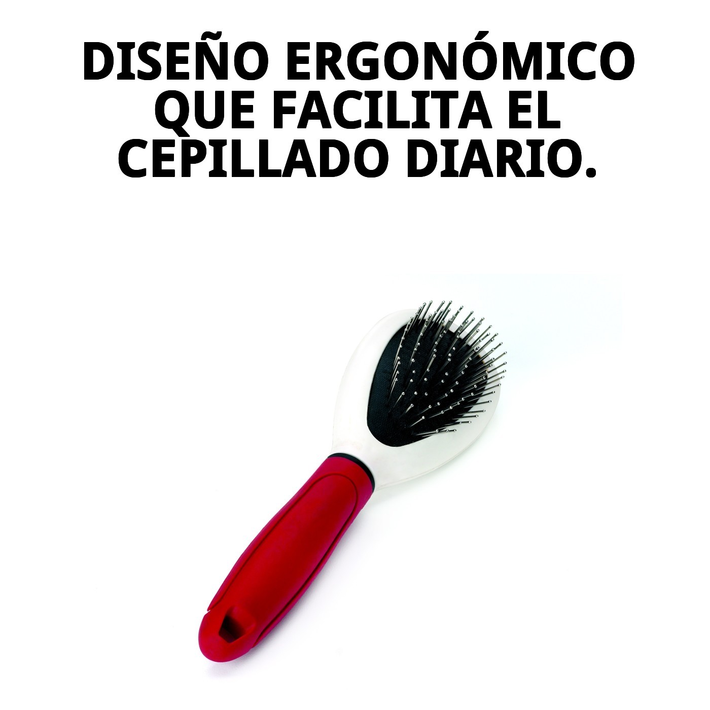 Cepillo de Púas Simple Moly Confort | Cepillado Suave y Eficaz para Perros y Gatos