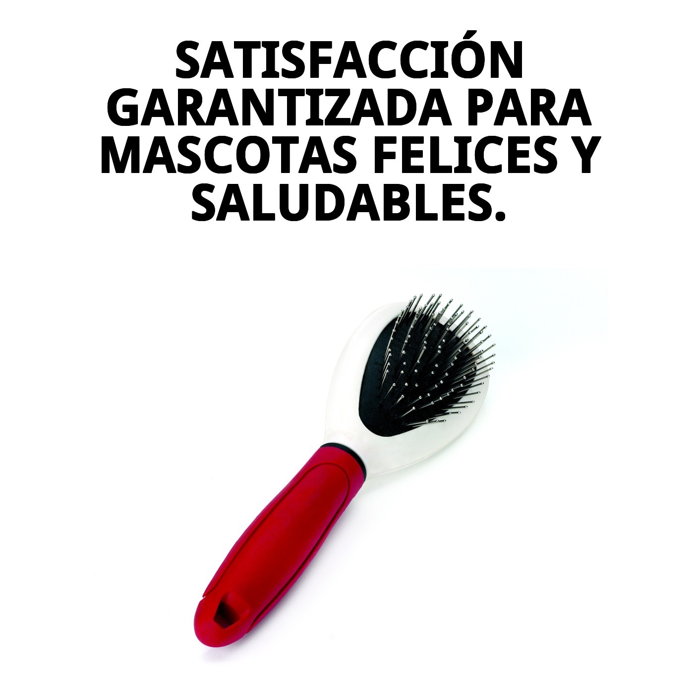 Cepillo de Púas Simple Moly Confort | Cepillado Suave y Eficaz para Perros y Gatos