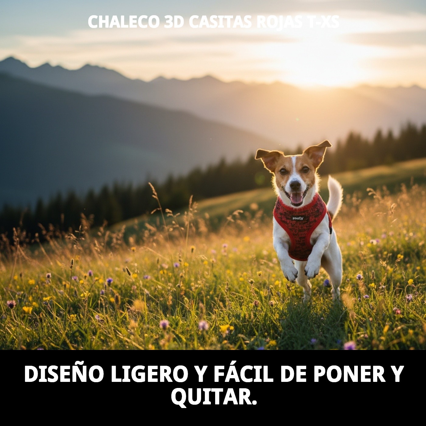 CHALECO 3D CASITAS ROJAS T-XS
