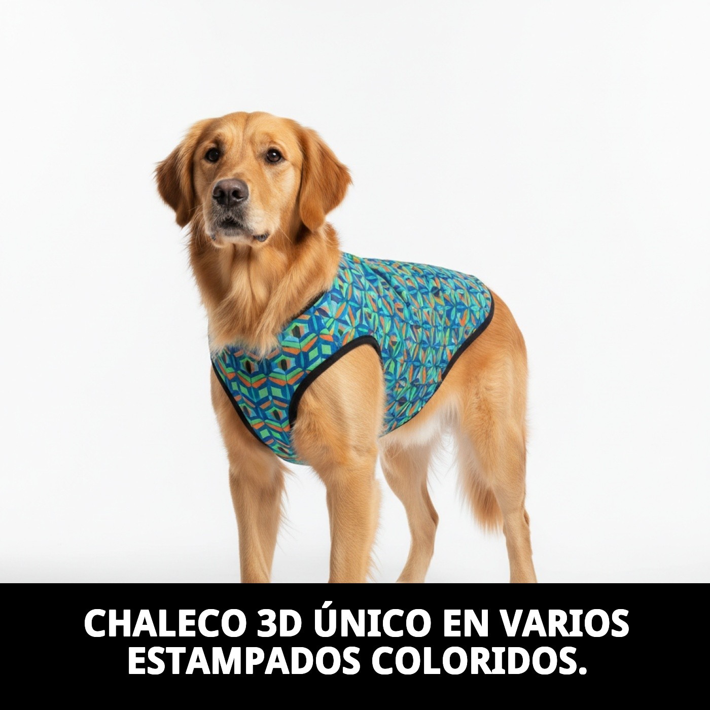 CHALECO 3D VARIOS ESTAMPADOS T-L