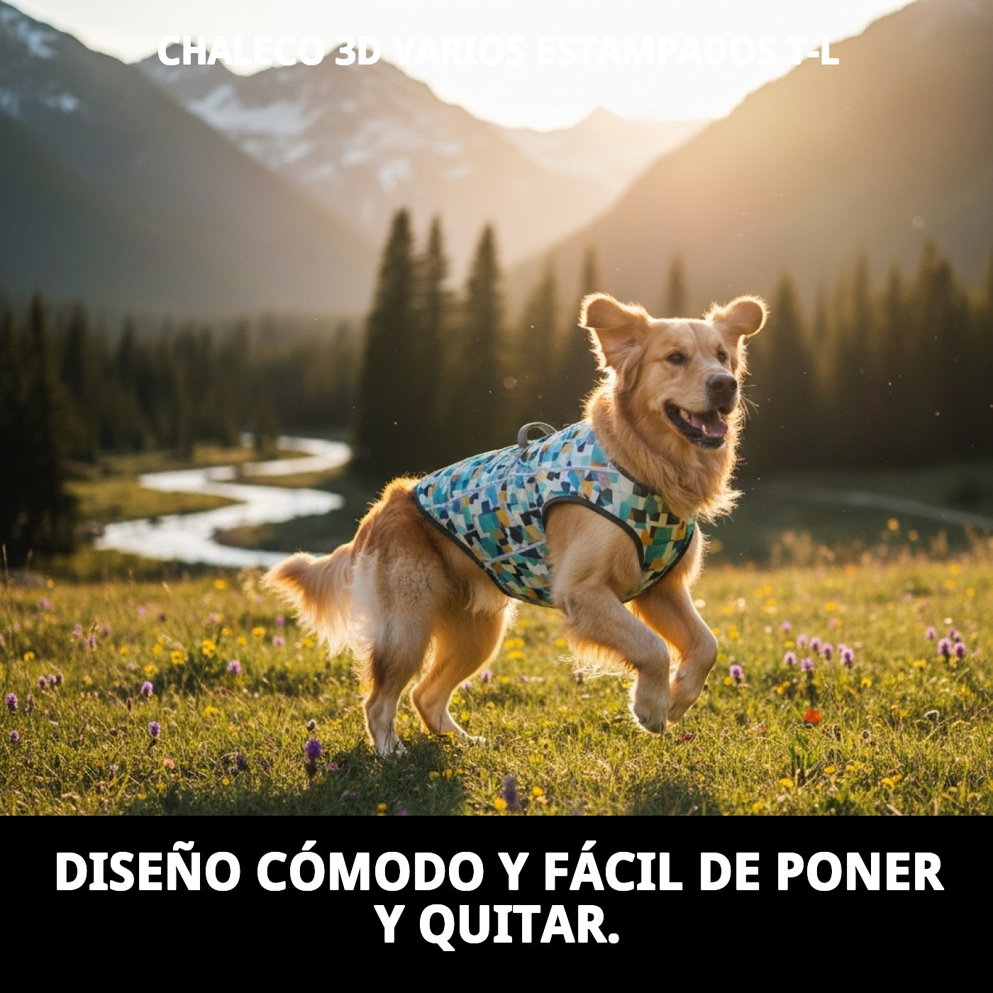 CHALECO 3D VARIOS ESTAMPADOS T-L