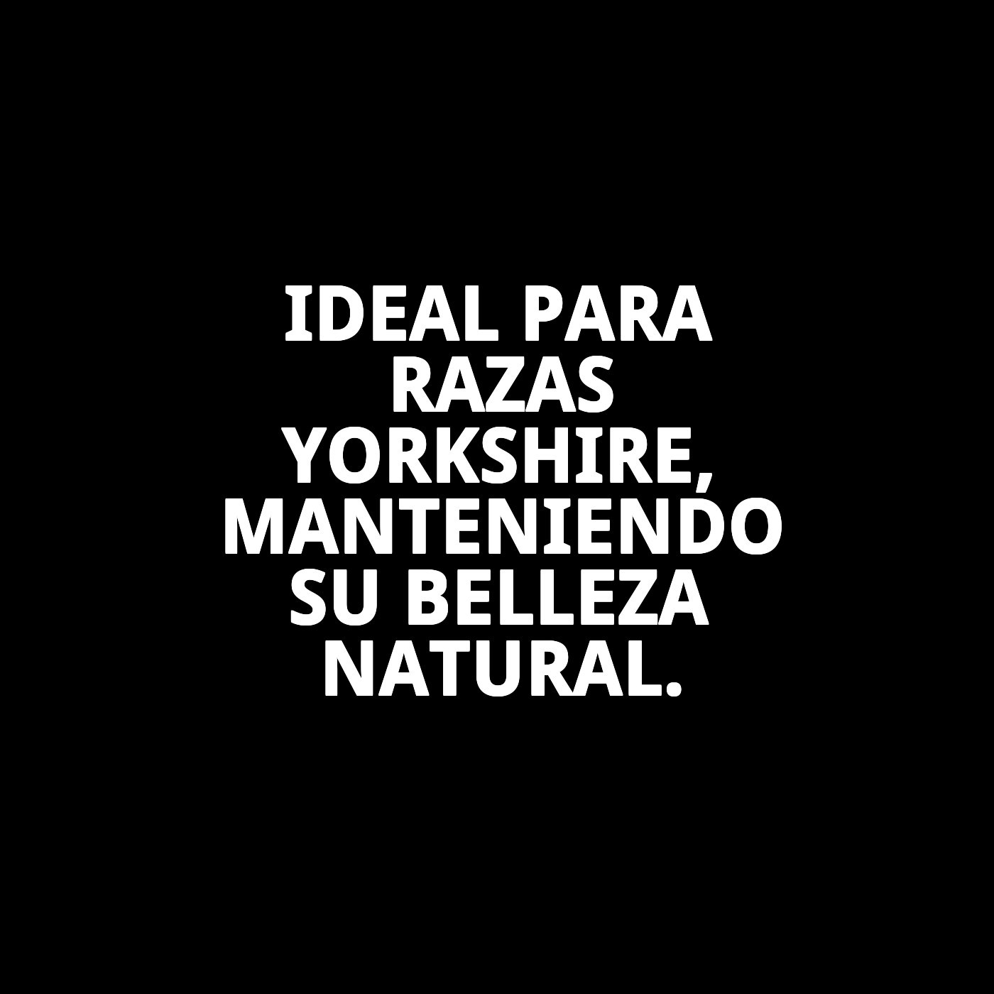 Champú Aceite de Visón Yorkshire 5 L Moly | Nutrición Profunda, Brillo y Suavidad para Pelos Largos