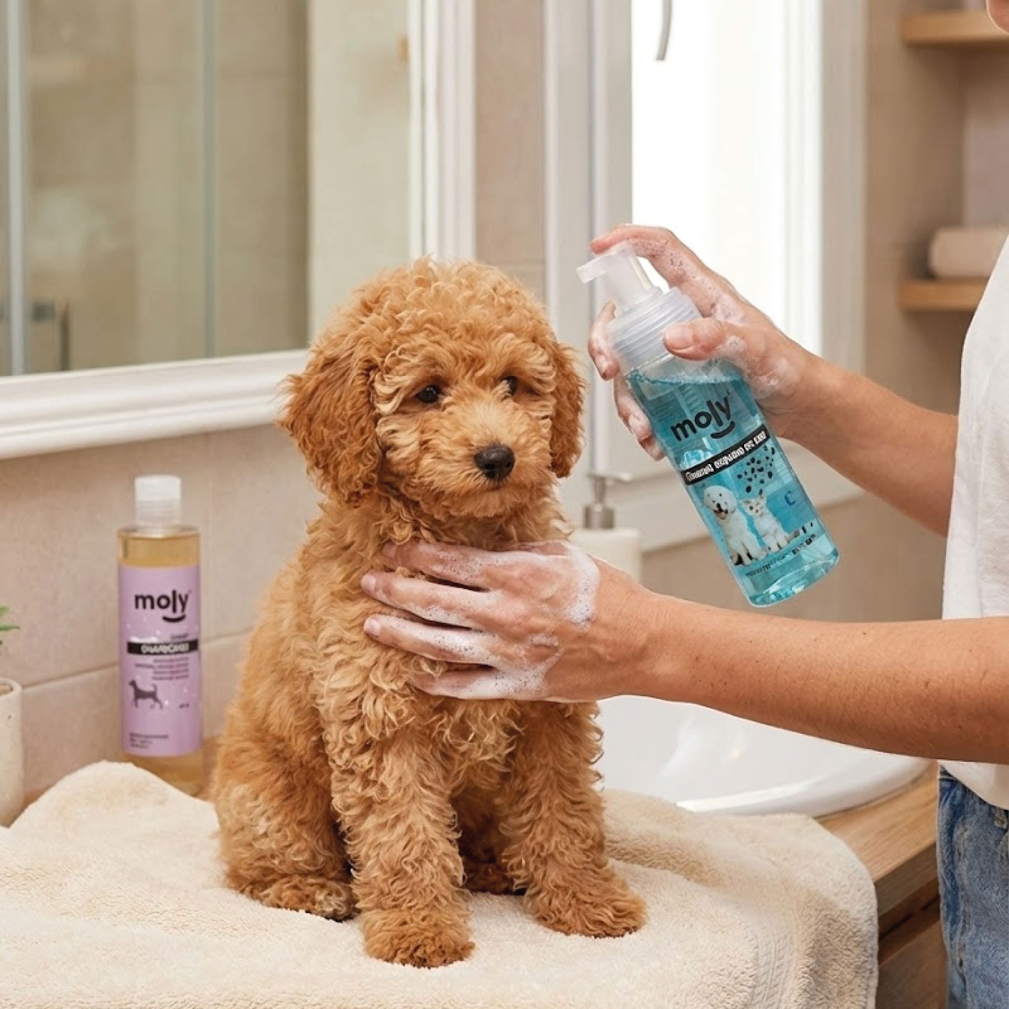 Champú en Seco en Espuma 150 ml Moly | Limpieza Rápida sin Agua para Perros y Gatos