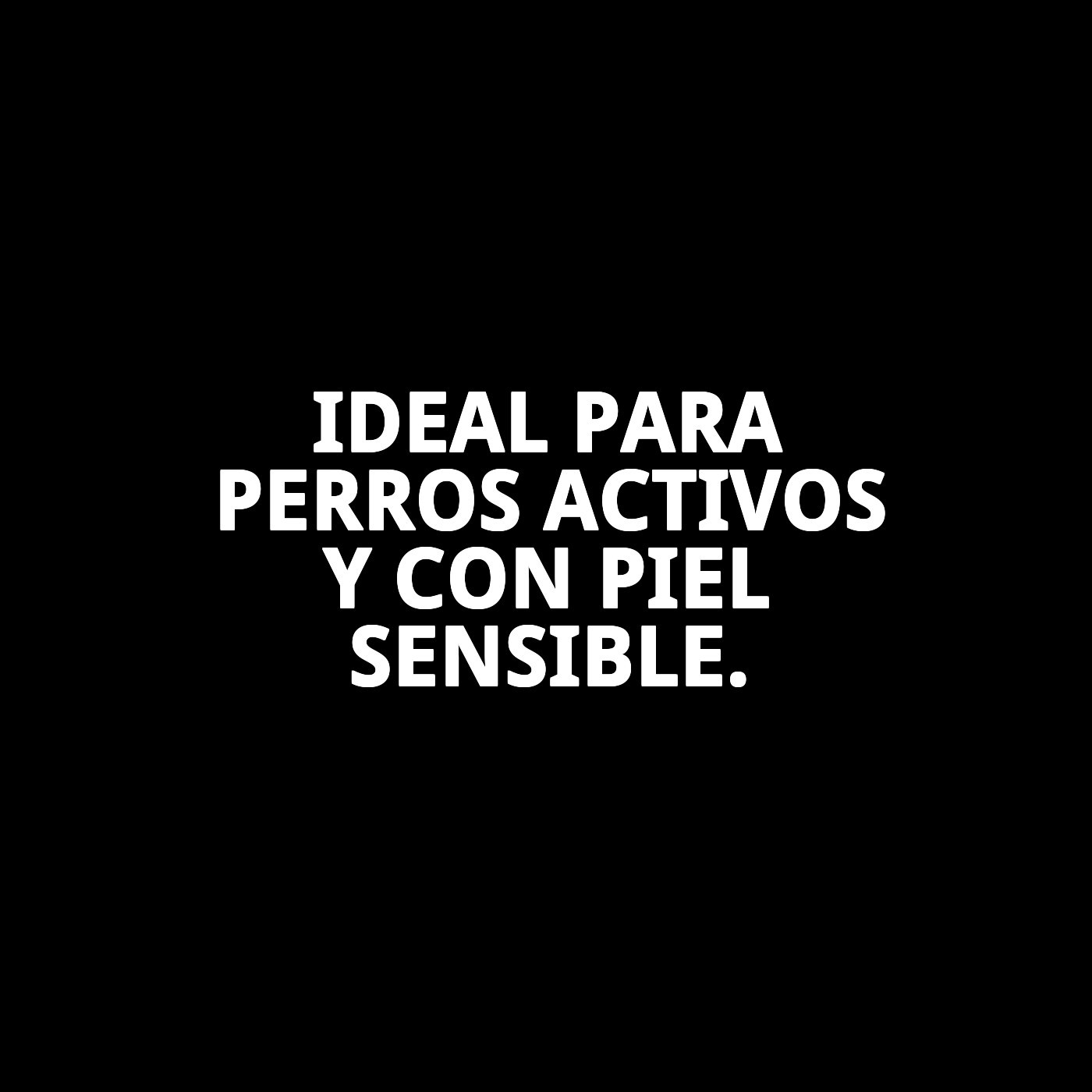 Champú en Seco en Espuma 150 ml Moly | Limpieza Rápida sin Agua para Perros y Gatos