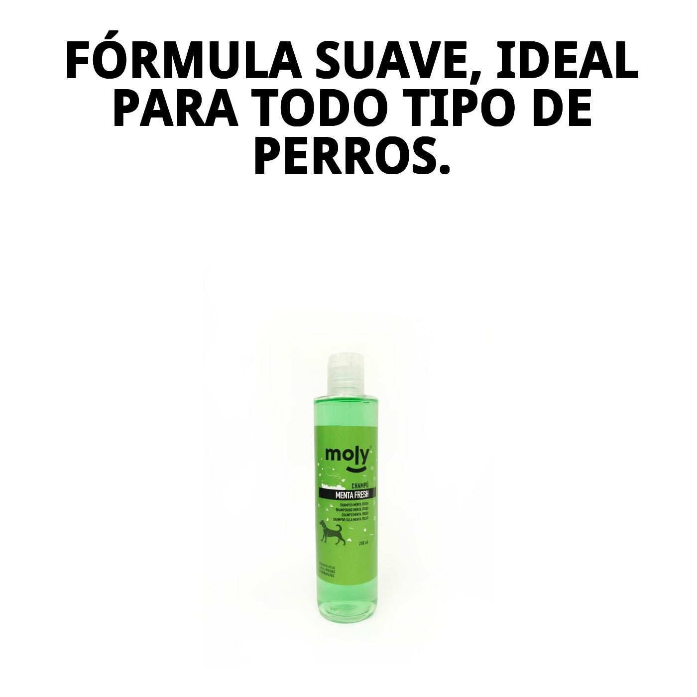 Champú Menta Fresh Repelente 250 ml Moly | Limpieza Refrescante y Suave para Perros de Todas las Razas