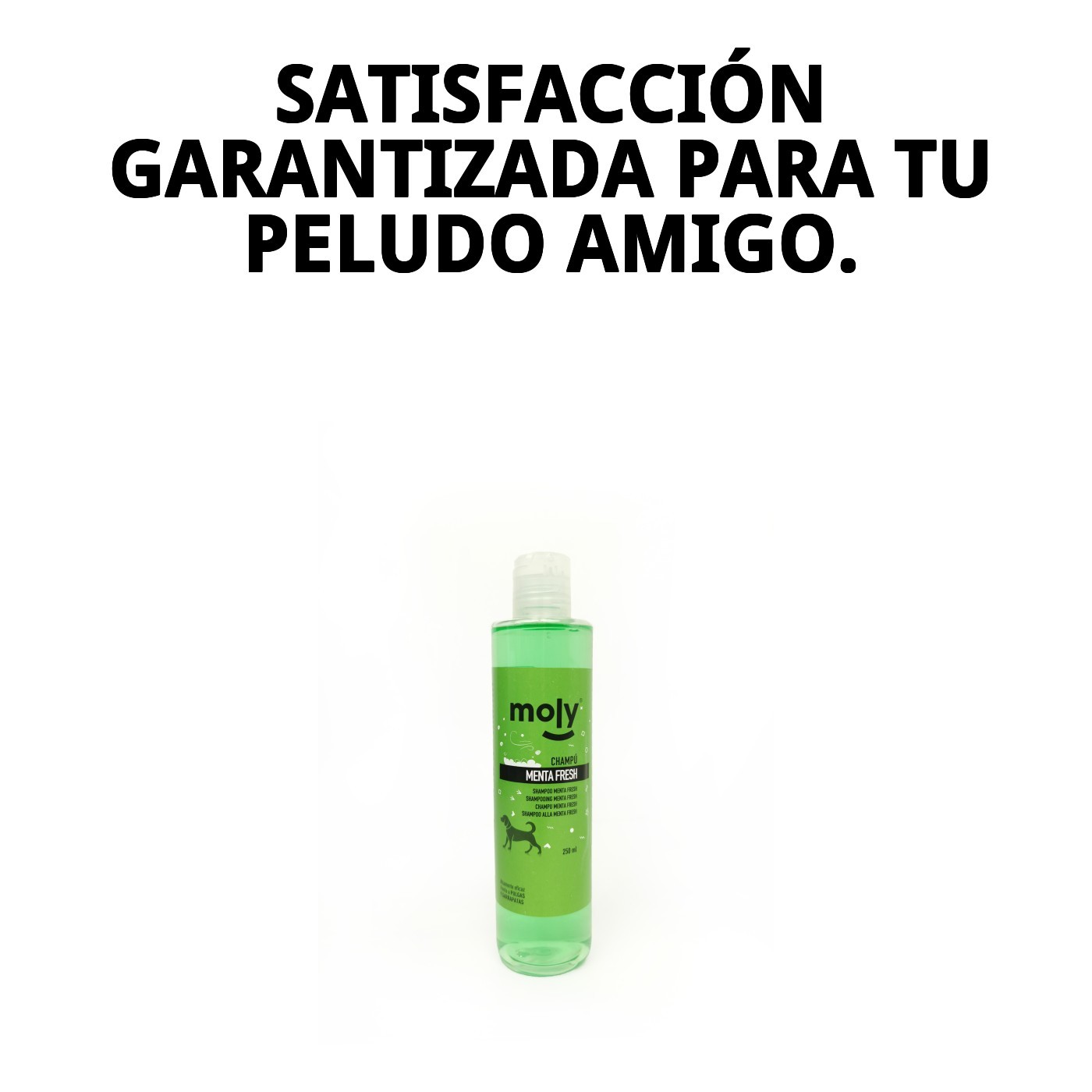 Champú Menta Fresh Repelente 250 ml Moly | Limpieza Refrescante y Suave para Perros de Todas las Razas