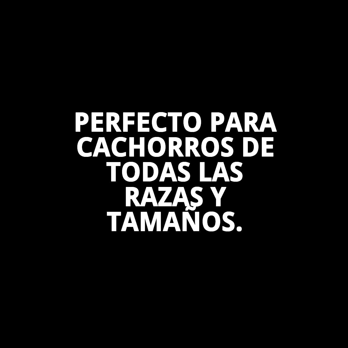 Champú para Cachorros 250 ml Moly | Limpieza Suave y Segura para Pieles Sensibles