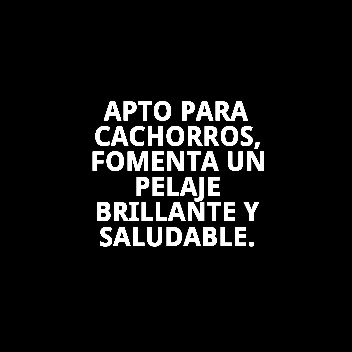 Champú para Cachorros 500 ml Moly | Limpieza Ultra Suave para Pieles Sensibles
