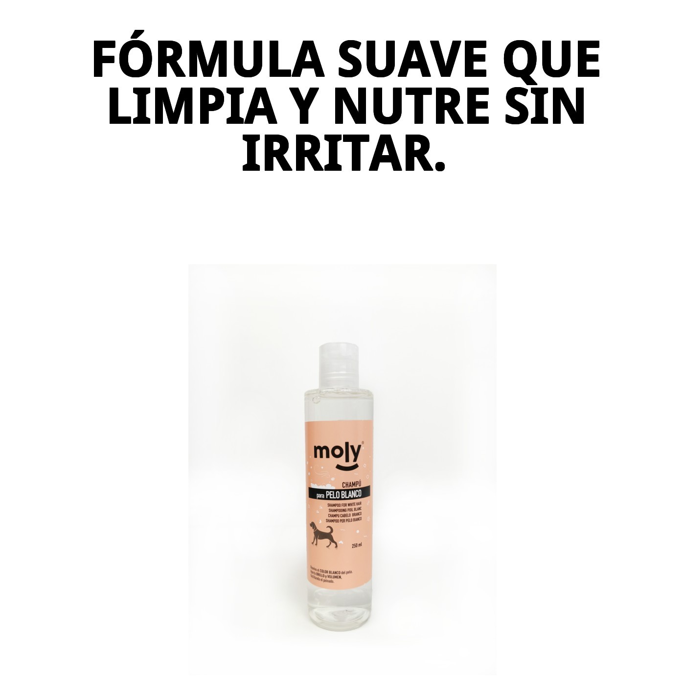 Champú Pelo Blanco 250 ml Moly | Ilumina, Desamarilla y Realza el Brillo del Pelaje Claro