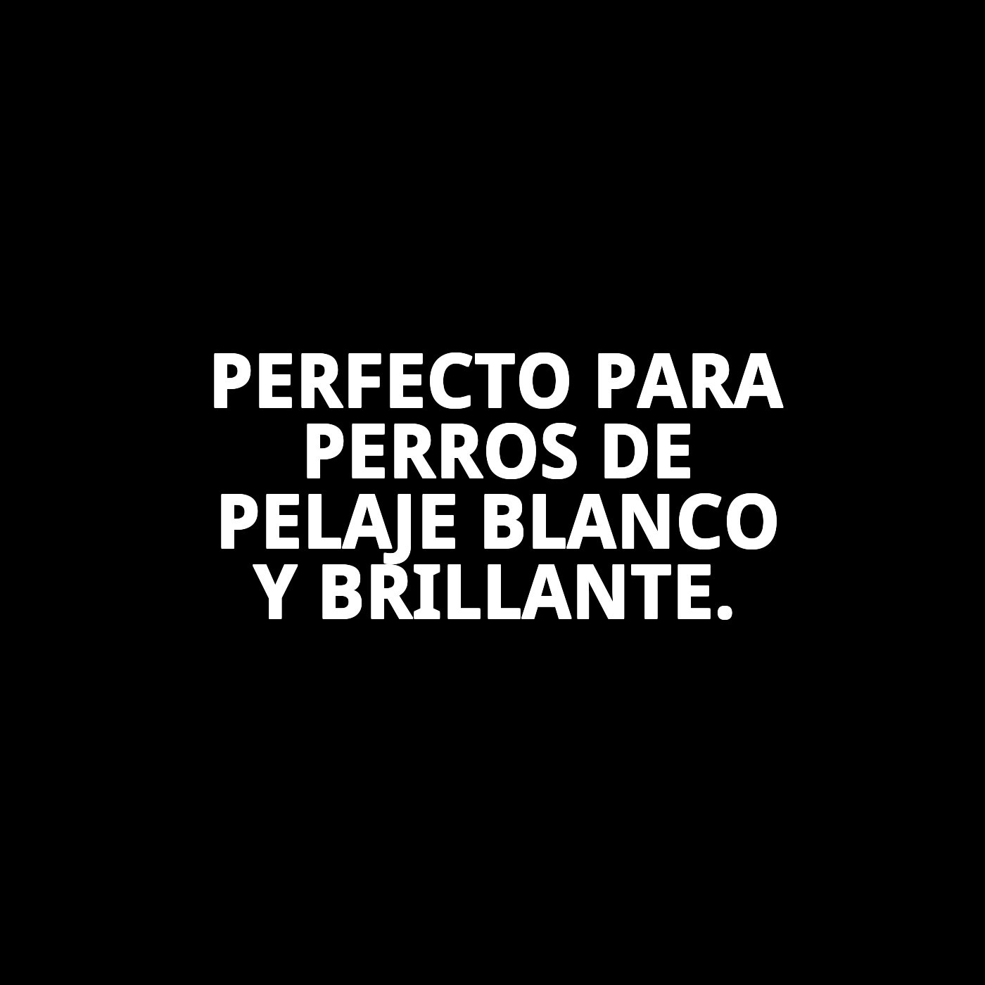 Champú Pelo Blanco 250 ml Moly | Ilumina, Desamarilla y Realza el Brillo del Pelaje Claro