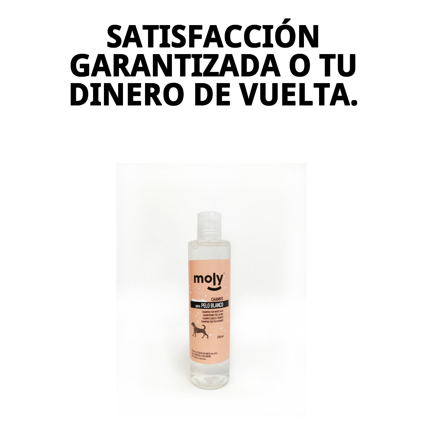 Champú Pelo Blanco 250 ml Moly | Ilumina, Desamarilla y Realza el Brillo del Pelaje Claro
