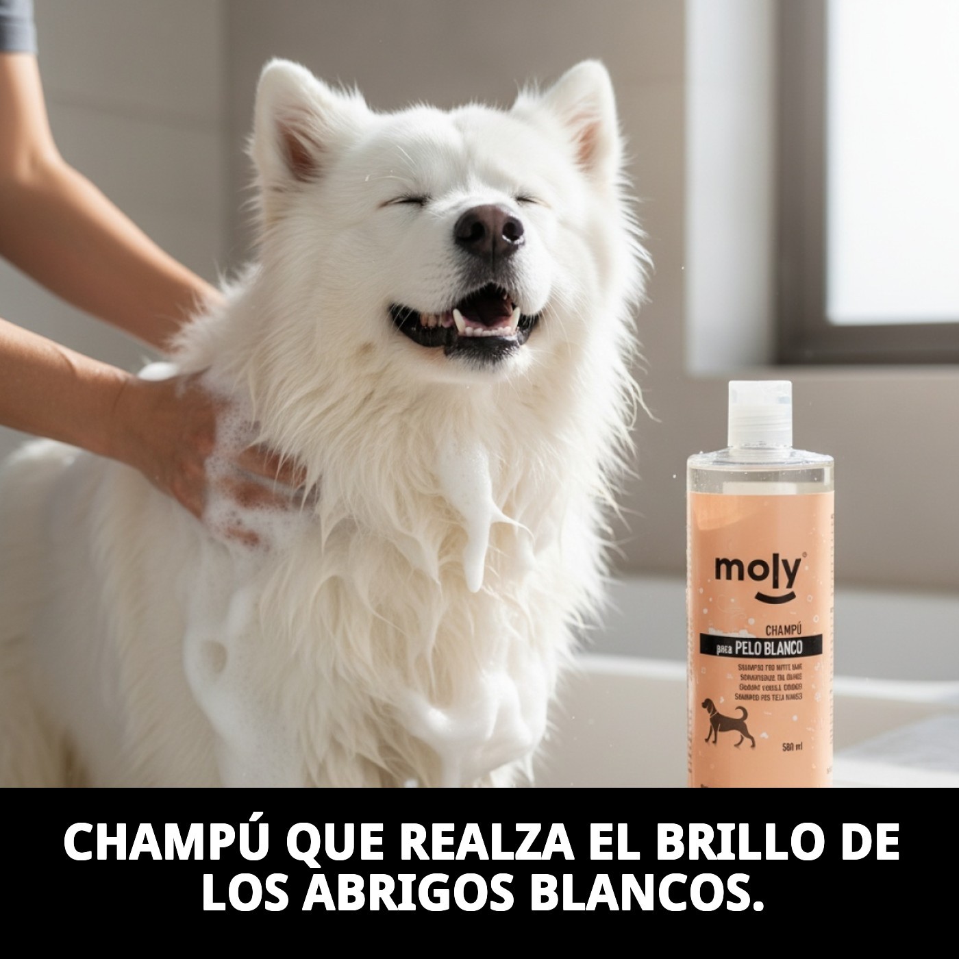 Champú Pelo Blanco 500 ml Moly | Iluminador Profesional para Pelajes Blancos y Claros
