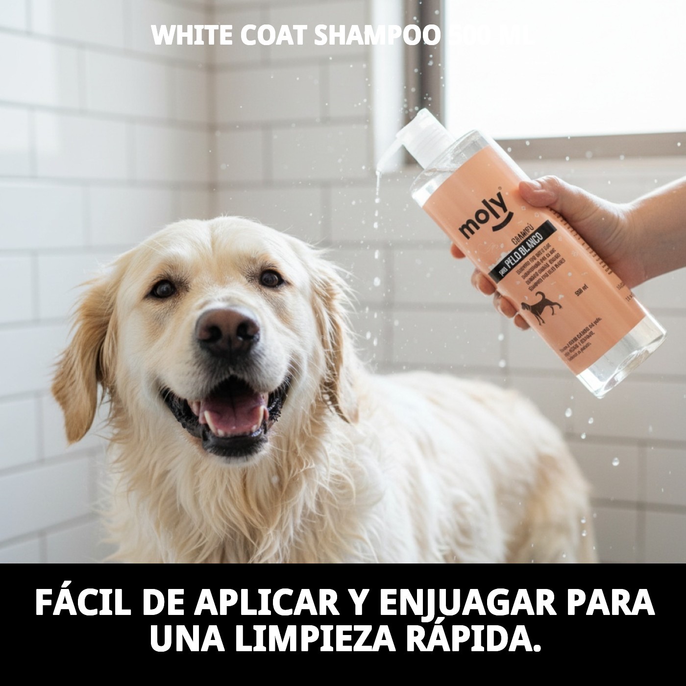 Champú Pelo Blanco 500 ml Moly | Iluminador Profesional para Pelajes Blancos y Claros