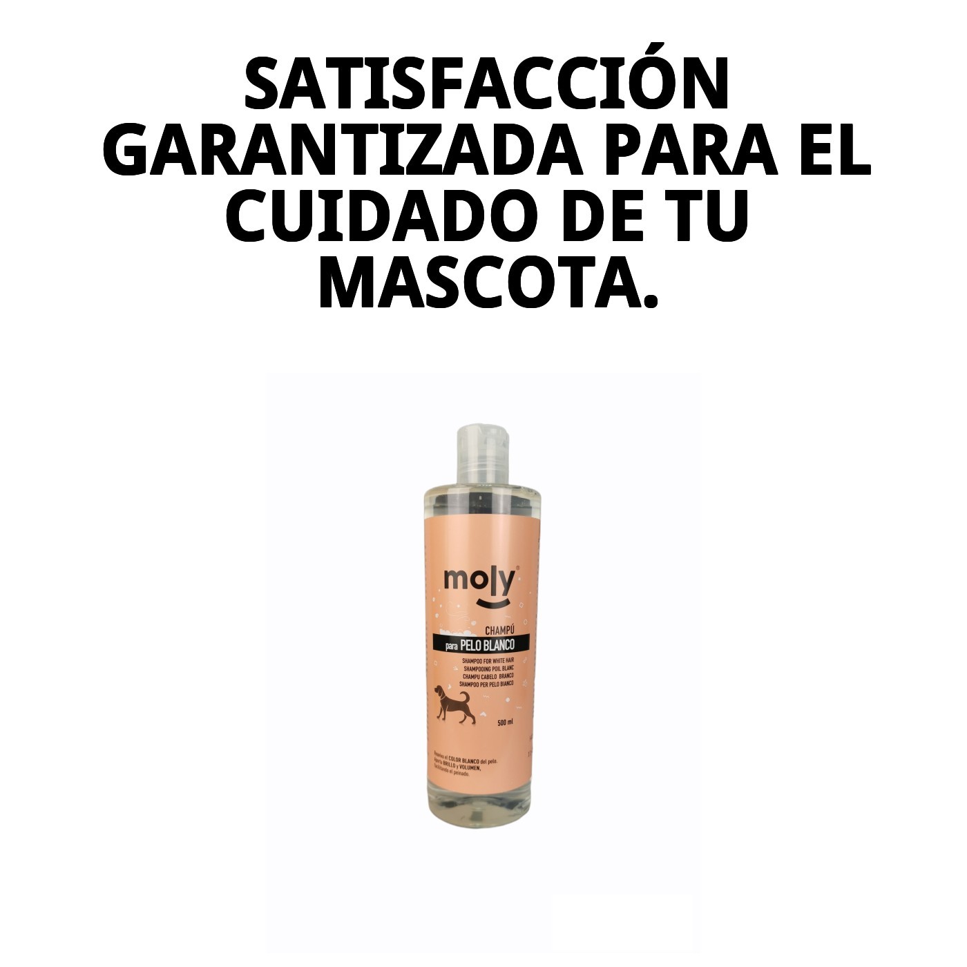 Champú Pelo Blanco 500 ml Moly | Iluminador Profesional para Pelajes Blancos y Claros