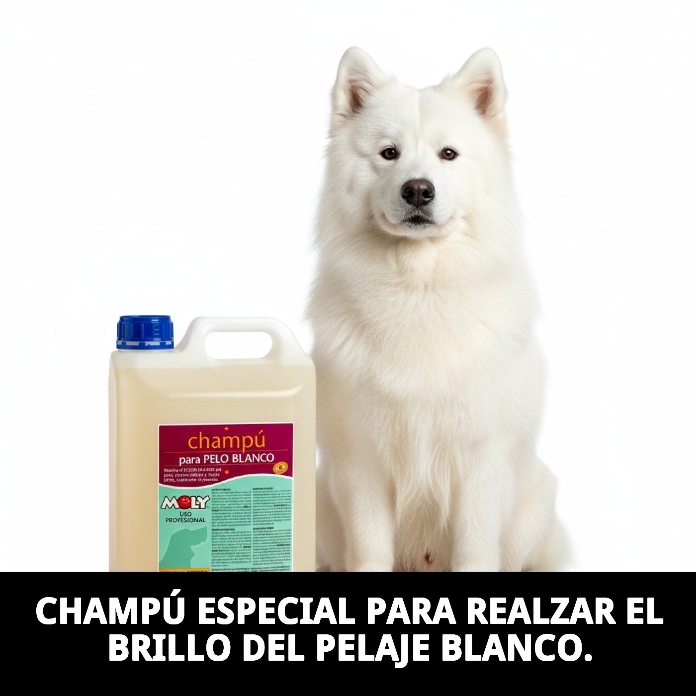 Champú Pelo Blanco Moly 5 L | Ilumina, Desamarilla y Realza el Brillo de Pelajes Claros