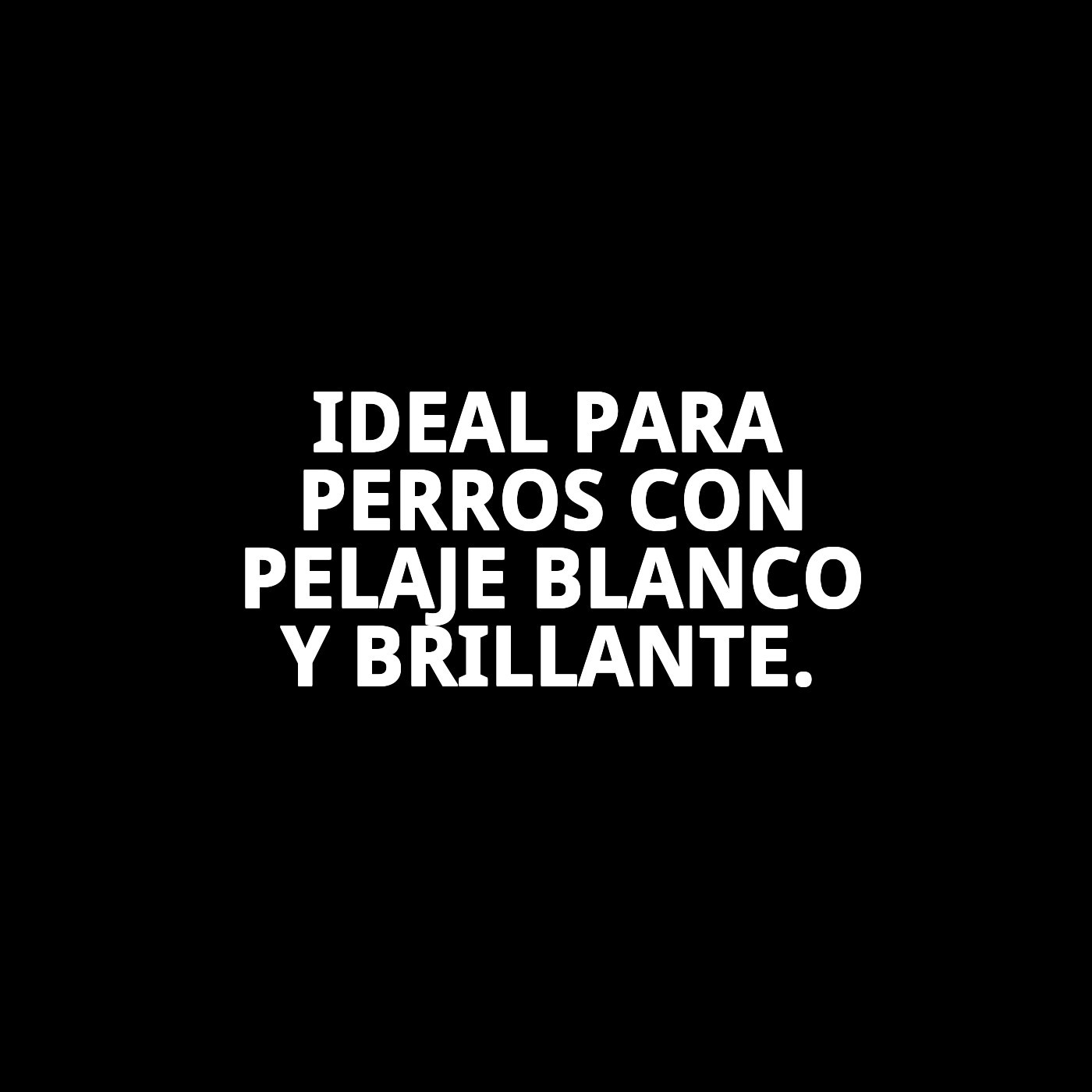 Champú Pelo Blanco Moly 5 L | Ilumina, Desamarilla y Realza el Brillo de Pelajes Claros