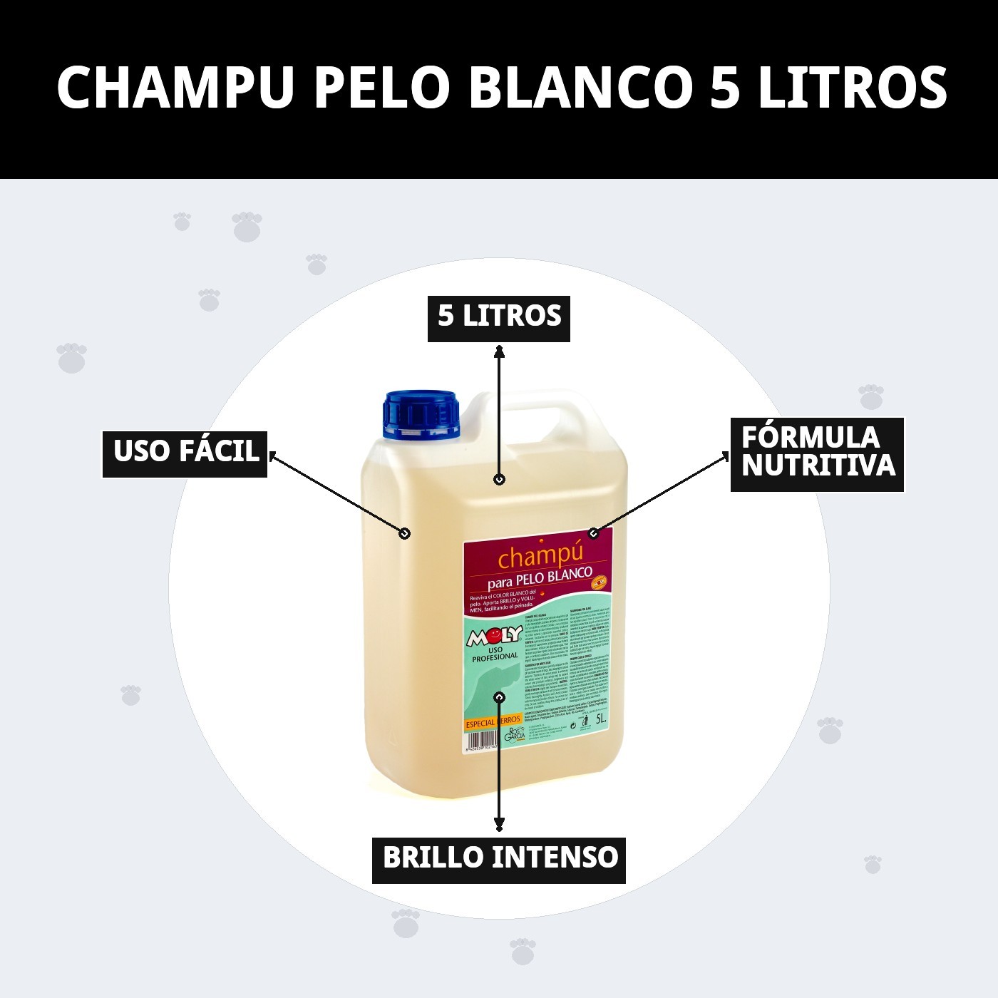 Champú Pelo Blanco Moly 5 L | Ilumina, Desamarilla y Realza el Brillo de Pelajes Claros