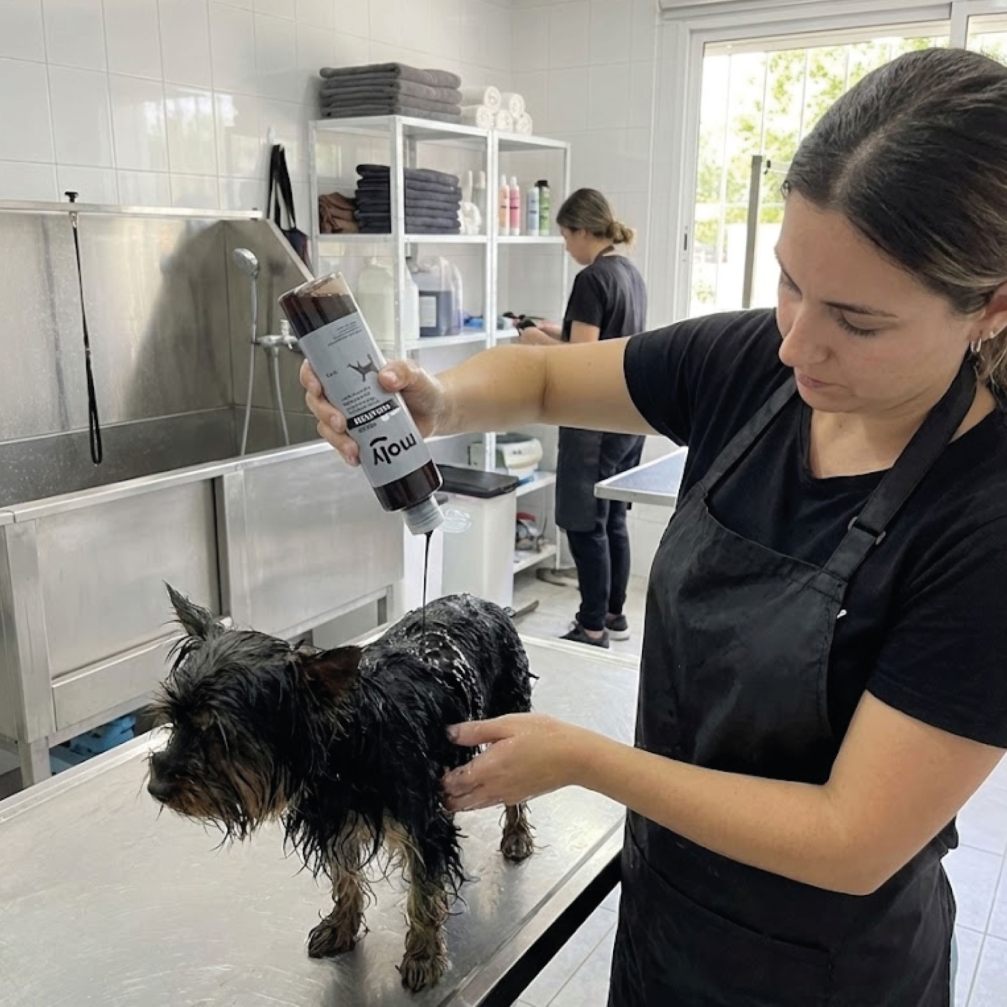 Champú Pelo Negro 250 ml Moly | Intensifica el Color y Aporta Brillo al Pelaje Oscuro