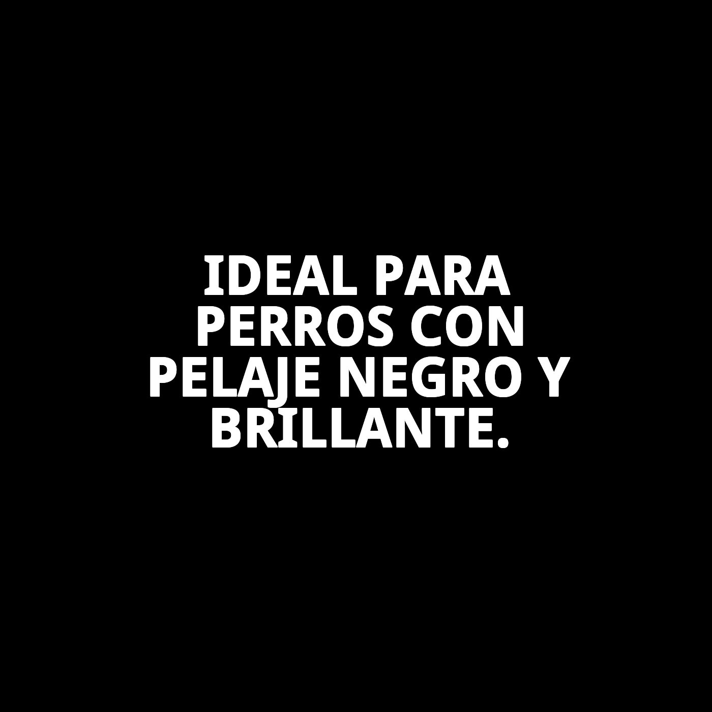 Champú Pelo Negro 250 ml Moly | Intensifica el Color y Aporta Brillo al Pelaje Oscuro