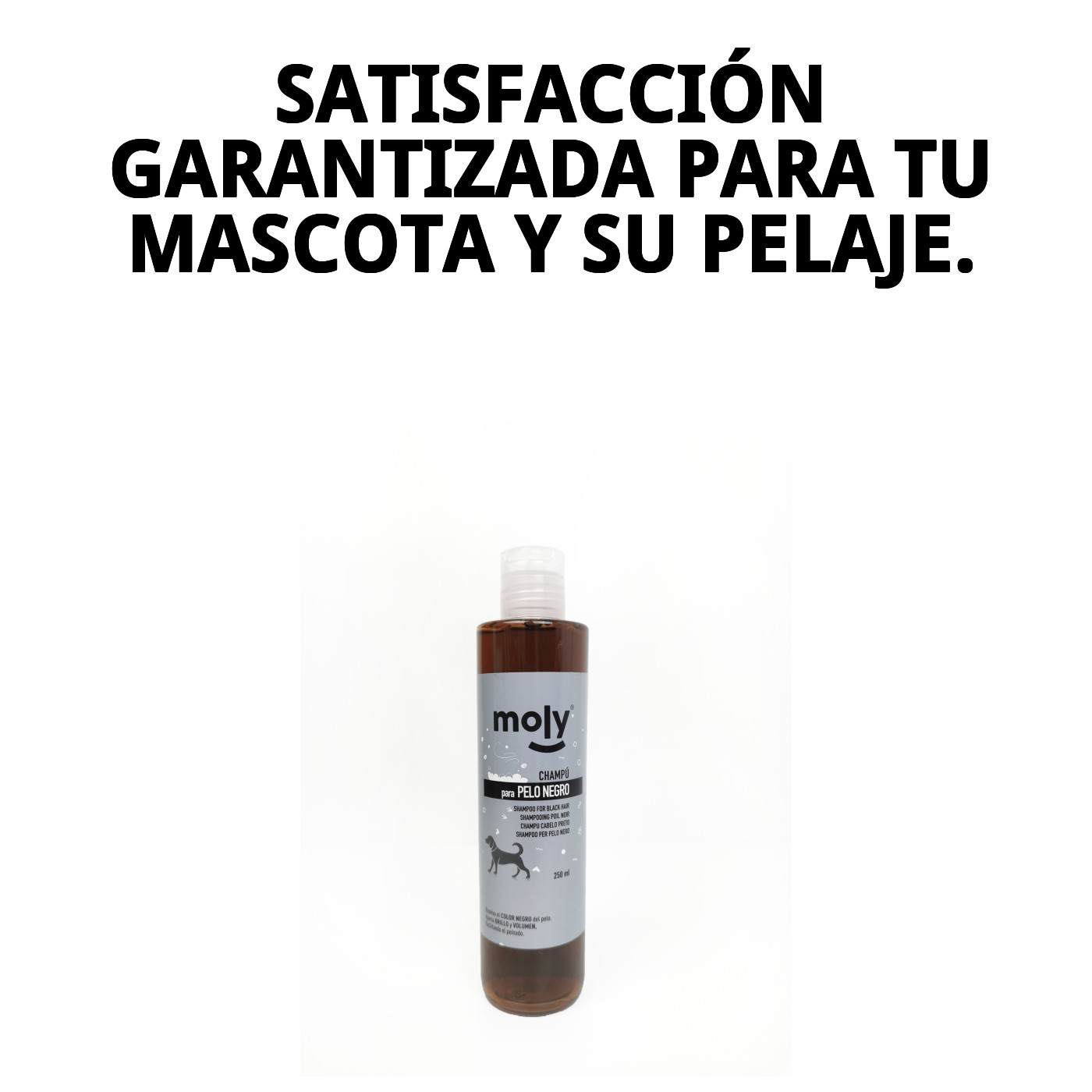 Champú Pelo Negro 250 ml Moly | Intensifica el Color y Aporta Brillo al Pelaje Oscuro