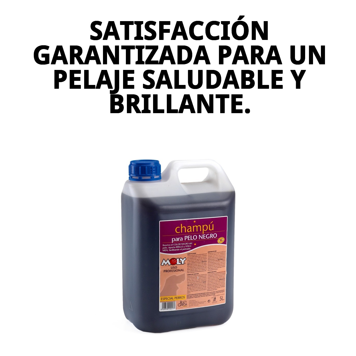 Champú Pelo Negro 5 L Moly | Realza el Color, Brillo y Vitalidad del Pelaje Oscuro