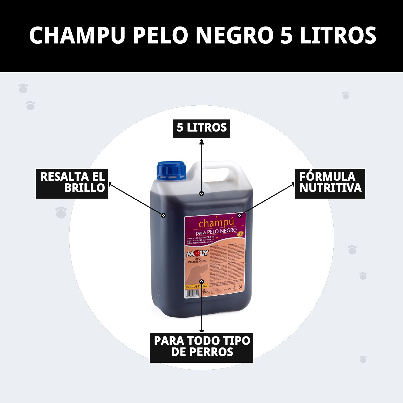 Champú Pelo Negro 5 L Moly | Realza el Color, Brillo y Vitalidad del Pelaje Oscuro