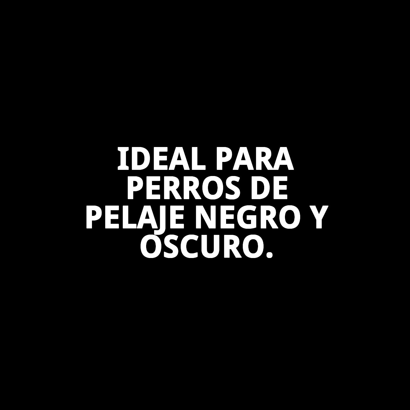 Champú Pelo Negro 500 ml Moly | Intensificador de Color y Brillo para Pelajes Oscuros