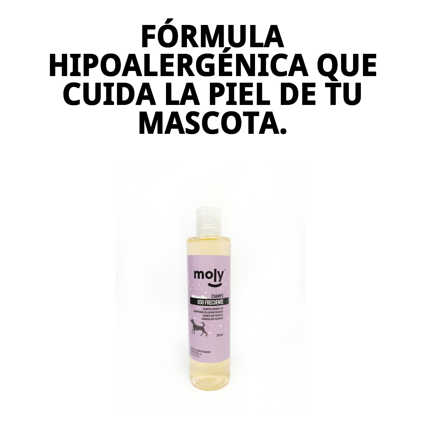 Champú Uso Frecuente 250 ml Moly | Limpieza Suave y Diaria para Todo Tipo de Perros