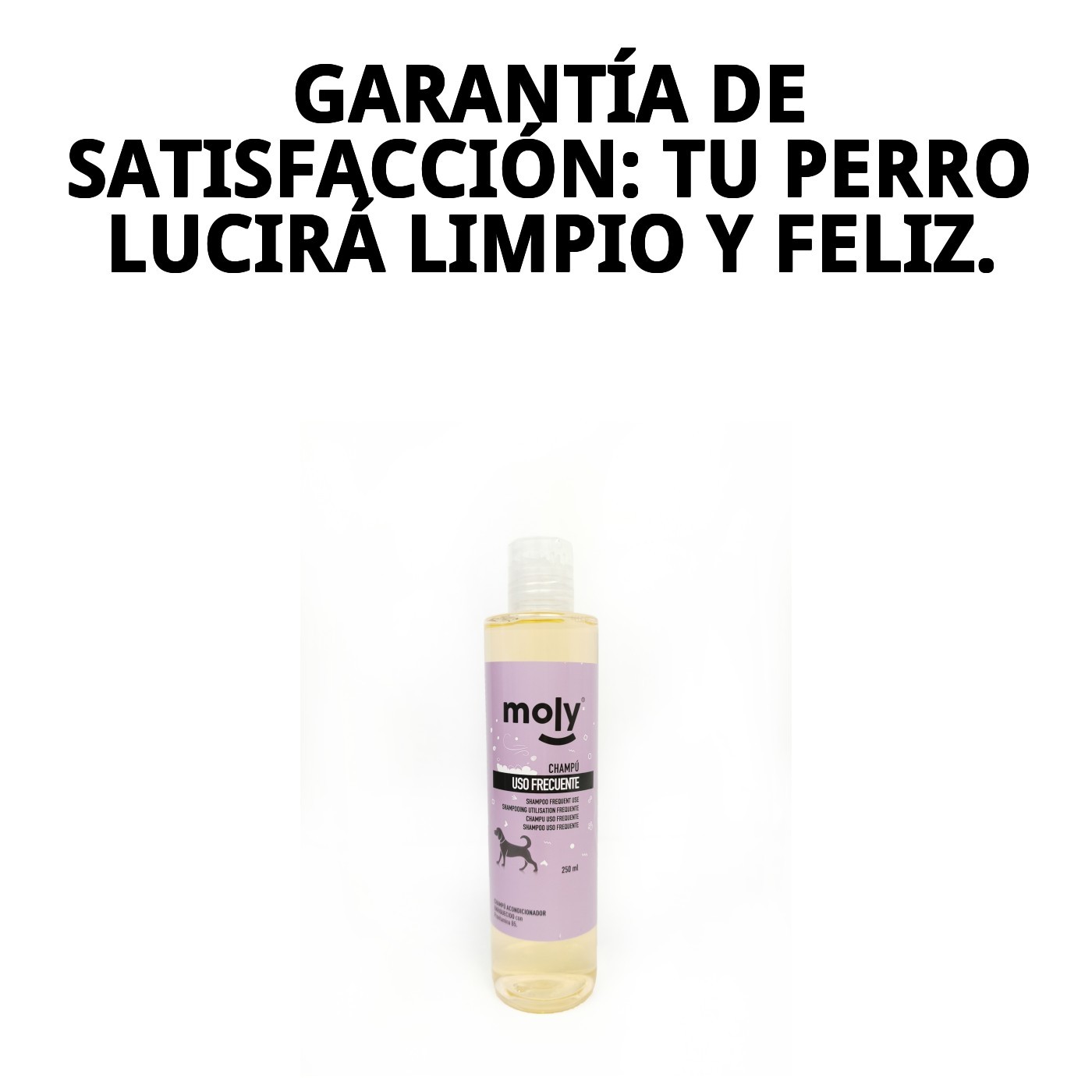 Champú Uso Frecuente 250 ml Moly | Limpieza Suave y Diaria para Todo Tipo de Perros