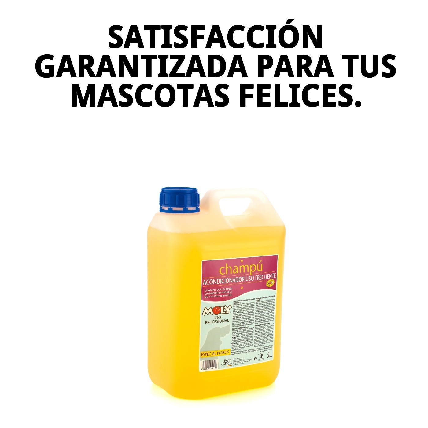 Champú Uso Frecuente 5 L Moly | Limpieza Suave y Diaria para Todo Tipo de Pelos