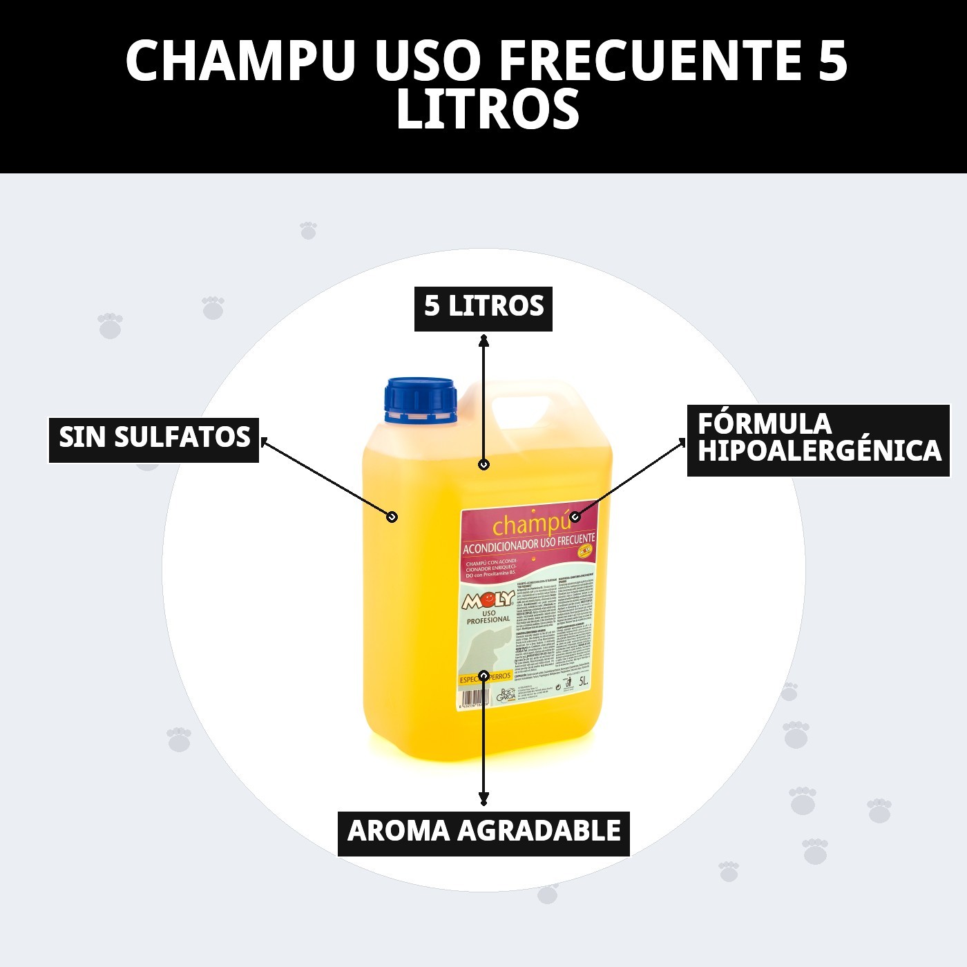 Champú Uso Frecuente 5 L Moly | Limpieza Suave y Diaria para Todo Tipo de Pelos
