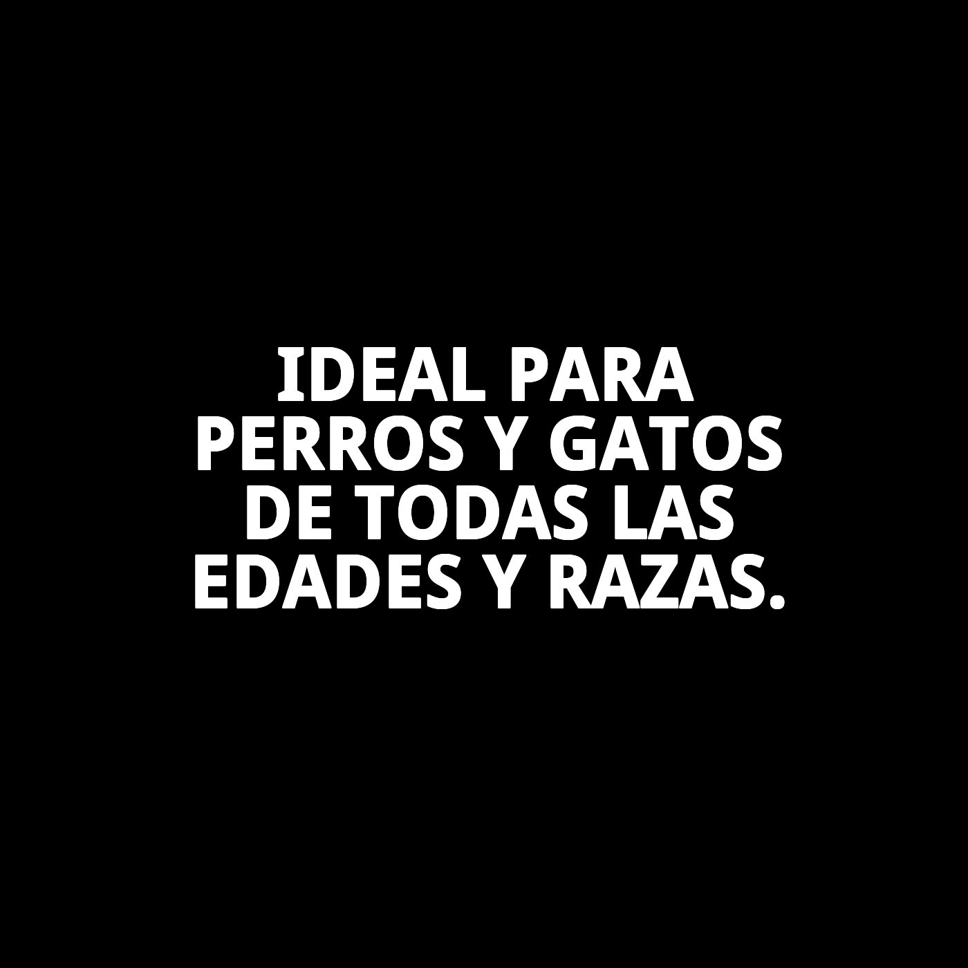 Clicker Training con Mosquetón Moly | Herramienta de Adiestramiento Precisa y Fácil de Usar
