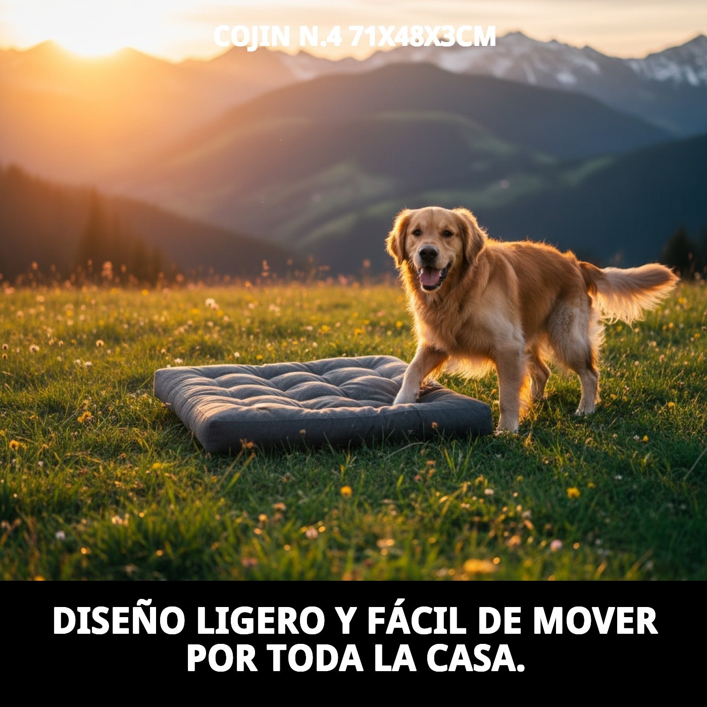 COJIN N.4 71X48X3cm