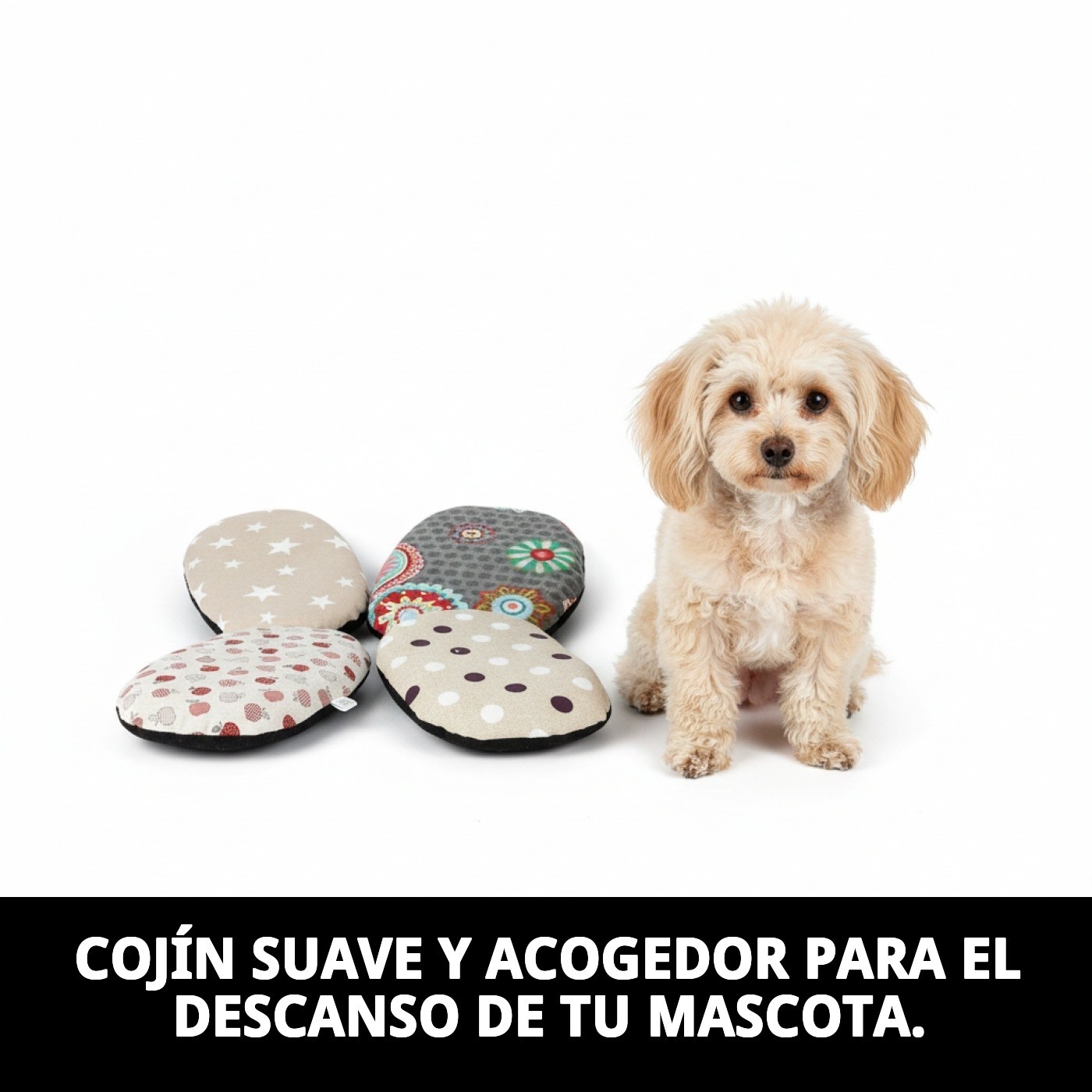 COJIN PERLA MINI 38 X 25 X 3 CM